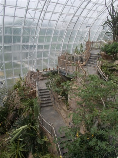 Inside the Crystal Bridge Tropical Conservatory