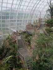 Inside the Crystal Bridge Tropical Conservatory: by janicemorris, Views[117]