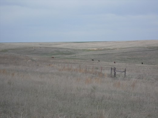 Do see the wagon train ruts?