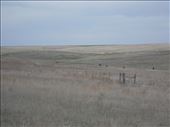 Do see the wagon train ruts?: by janicemorris, Views[197]