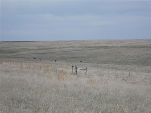 Do see the wagon train ruts?