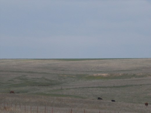 Do see the wagon train ruts?