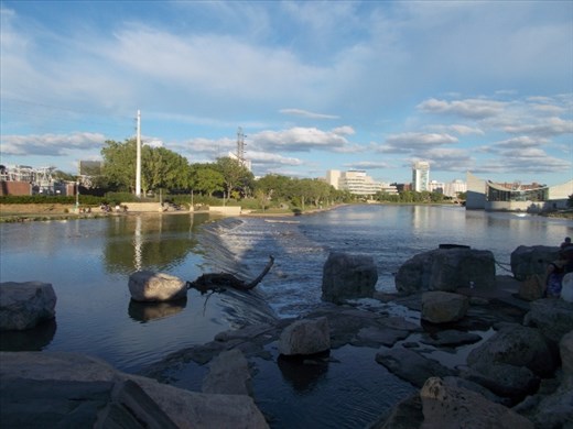 Seen along the Arkansas Trail