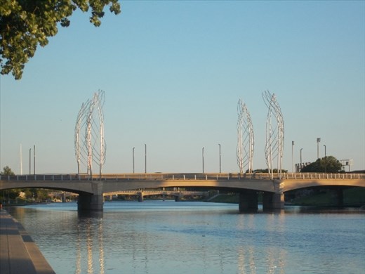 The Douglas Ave Bridge