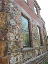 Seeing some petrified wood on Pettigrews Home: by janicemorris, Views[143]
