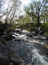 The Pipestone Creek: by janicemorris, Views[128]