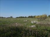 Tall Grass Prairie: by janicemorris, Views[144]