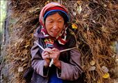 The elderly carry out heavy chores however, they are extremely fit. The villagers would climb up the mountains to the forested area to collect raw materials such as firewoods and pine needles. This is a picture of an elderly carrying pine needles on her back using a rope. Given that the mountain is steep, they are unable to use any vehicles but to carry on their backs. : by jannakifli, Views[568]