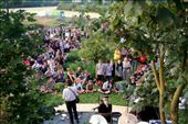 The party has begun. The opening concert of the two-day Sejero Festival by Danish avant pop band Choir of Young Believers at noon August 3, 2012.: by jannelouise, Views[1099]