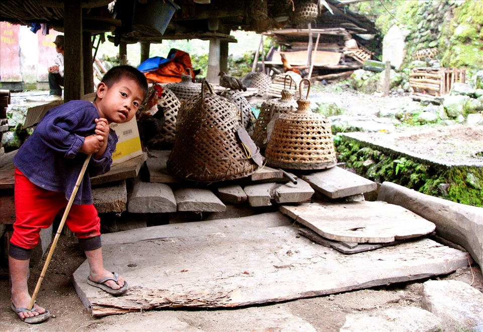 The subject and the photographer: curious about curiosity.