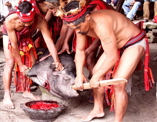 Red is the prescribed color and zoom lenses kept us close to the unfolding scenes.