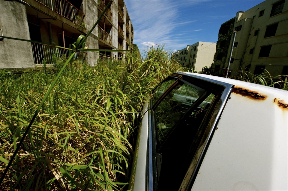 Ikeshima is an island in the south of Japan that used to be known for its active and prosperous coal mine. Due to a tragic mine accident 10 years ago most people were forced to leave the island due to dangerous levels of pollution. In order to photograph this image I had to climb on the abandoned Toyota invaded by bamboo.
