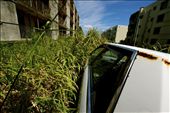Ikeshima is an island in the south of Japan that used to be known for its active and prosperous coal mine. Due to a tragic mine accident 10 years ago most people were forced to leave the island due to dangerous levels of pollution. In order to photograph this image I had to climb on the abandoned Toyota invaded by bamboo.: by japanthroughlocaleyes, Views[1565]