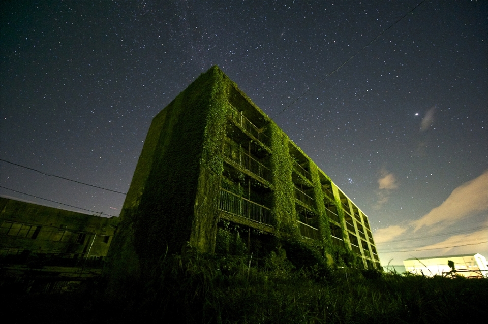 Due to a tragic mine accident that took place in Ikeshima 10 years ago most people were forced to leave the island due to dangerous levels of pollution. I photographed this at 2 am while listening of a concert of bugs, and animals. Locals warned me of poisonous snakes.