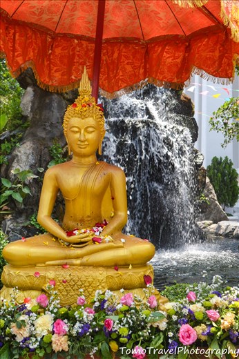 Tranquil Budda