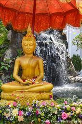 Tranquil Budda: by jaredthomson, Views[224]