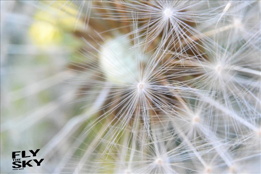 a snap shot of life up close