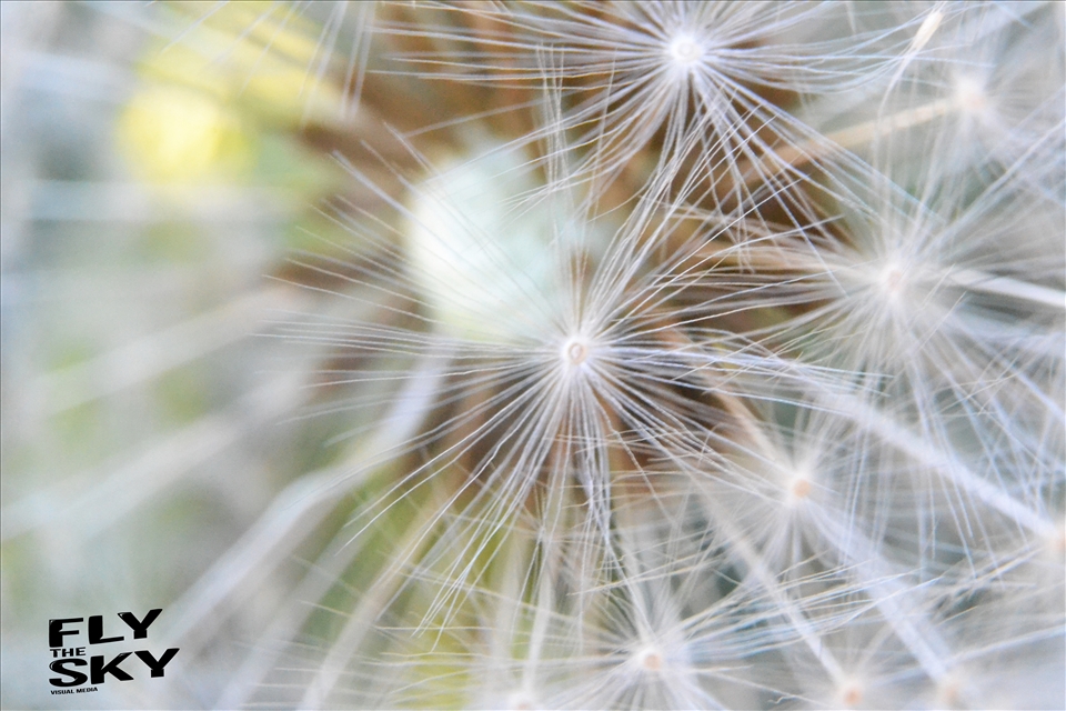 a snap shot of life up close