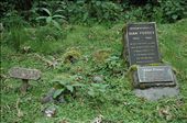 Long ago, I became fascinated with the work of Dian Fossey in Rwanda...: by jas10, Views[277]