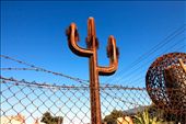 I love the juxtaposition of the rusted cactus sculpture against the chain wire mesh fence and barbed wire, showing more similarities than differences.: by jas_pixel, Views[1772]