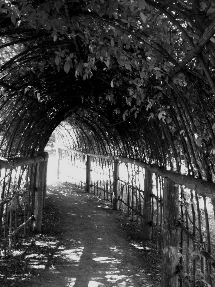 Port Arthur Tasmania Australia, This Picture allows it to show its beauty but it also has a sad tragic story behind it all.