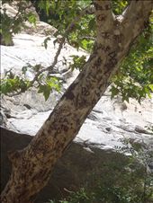 We want the world to know we have seen this beauty and we are now part of it: by jasminetrejo, Views[295]