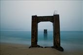 The remains of an old pier stand like sentries along the Davenport coastline: by jasonm, Views[295]