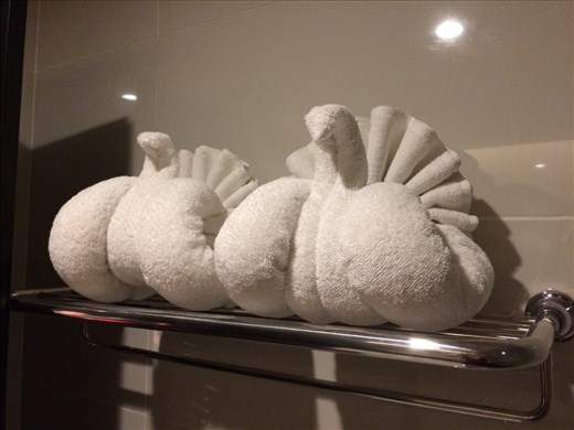 Towels in our hotel!