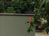 Butterfly: by jasonmarshall22, Views[158]