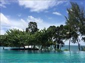 Poolside view: by jasonmarshall22, Views[397]