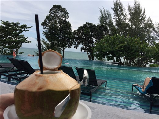 Post-storm coconut juice!