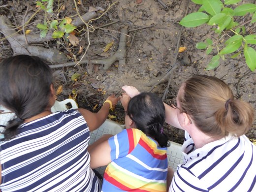 Ania replants a Mangrove tree