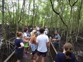 Tour group: by jasonmarshall22, Views[113]