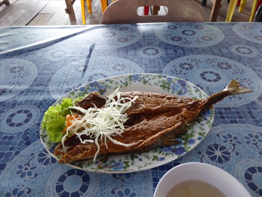 Dinner at the fish farm...