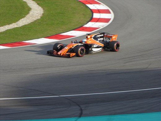 Alonso during qualifying