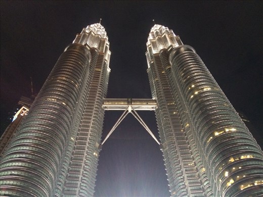 The Petronas Towers