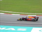 Verstappen celebrates his win: by jasonmarshall22, Views[141]