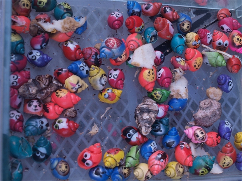 The Seller wants to attract the customer especially the kids, so they drew that.