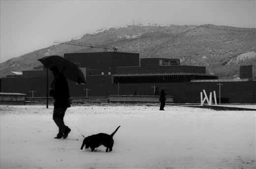 Before the city wakes up, a few silent shadows start to move at the surroundings of the citadel. They do not say a word and look at you suspiciously. The only things you can hear are their steps, the dogs sniffing the ground and the wind whistling when passing trough the branches of the trees.