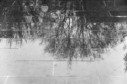 ...watching the world trough the reflections of the wet floor.