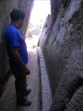 by javolsteedt, Views[137]