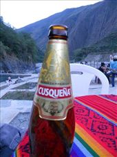 by javolsteedt, Views[139]