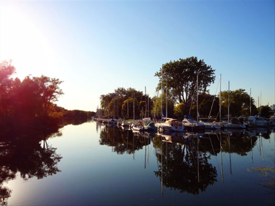 Sailboats are a favourite recreational activity among those who inhabit Toronto Harbour's Islands. During the Summer months, Lake Ontario is a beauty to behold full of Sailboats and swans.