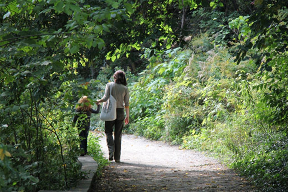 Despite urbanization, families appreciate many large natural parks located downtown Toronto within local communities. Ideal for recreation and exercise, many opt to go on walks or bikeride on the trails and pathways. Here we see a Mother and daughter enjoying a moment together as they stroll along their chosen path.