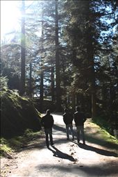 Searching for more light and new destination for more knowledge and experience: by jayantaborah8, Views[106]