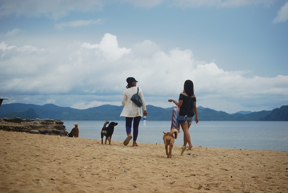 A local and a guest stroll along the beach with some canine friends in El Nido, Palawan