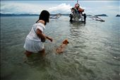 A dog accompanies her master to the boat, which will depart for island-hopping, a popular activity in El Nido.: by jayexiomo, Views[328]