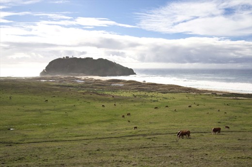 A storm yields to harmony