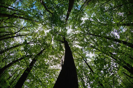 A different perspective. Brookeville, Maryland 