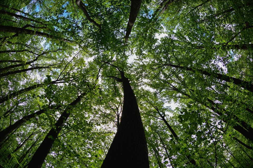 A different perspective. Brookeville, Maryland 